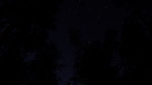 Preview wallpaper trees, night, sky, starry sky, dark