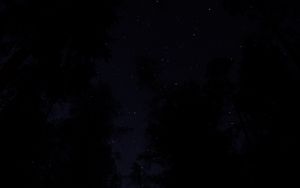 Preview wallpaper trees, night, sky, starry sky, dark