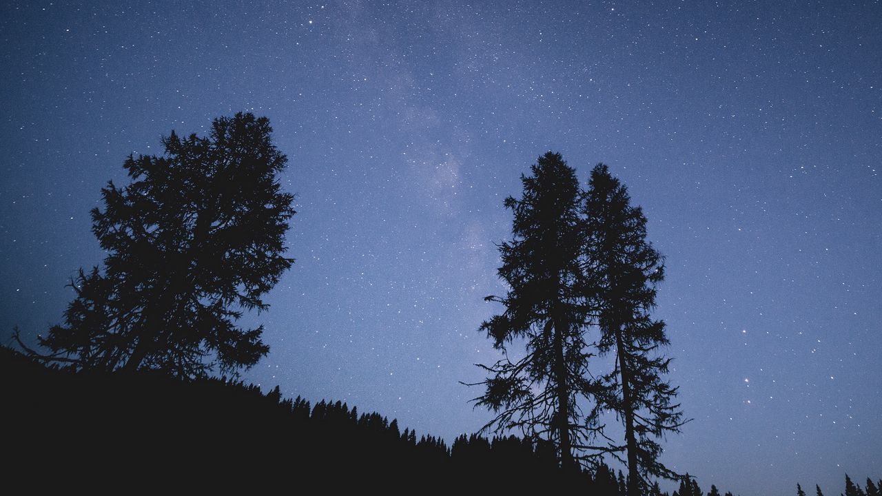 Wallpaper trees, night, starry sky, stars