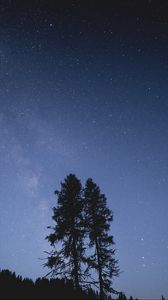 Preview wallpaper trees, night, starry sky, stars