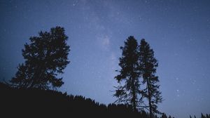 Preview wallpaper trees, night, starry sky, stars