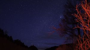 Preview wallpaper trees, night, starry sky, branches, twilight