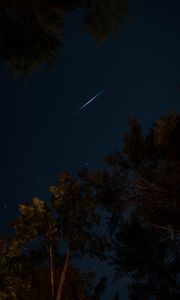 Preview wallpaper trees, night, starry sky, dark, stars