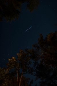 Preview wallpaper trees, night, starry sky, dark, stars