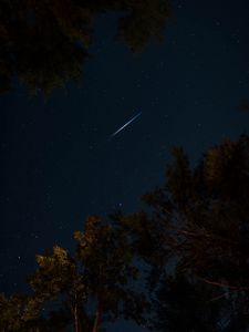 Preview wallpaper trees, night, starry sky, dark, stars