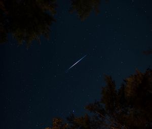 Preview wallpaper trees, night, starry sky, dark, stars