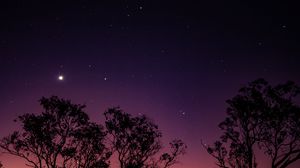 Preview wallpaper trees, night, stars, sky, purple