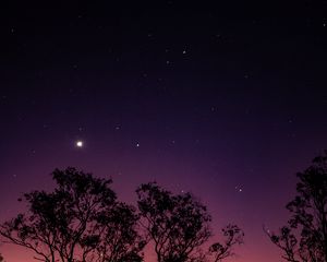 Preview wallpaper trees, night, stars, sky, purple