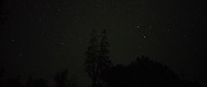 Preview wallpaper trees, night, stars, sky, starry sky