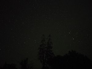 Preview wallpaper trees, night, stars, sky, starry sky