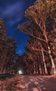 Preview wallpaper trees, night, stars, road, parana, entre rios, argentina