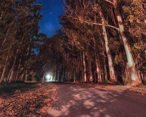 Preview wallpaper trees, night, stars, road, parana, entre rios, argentina