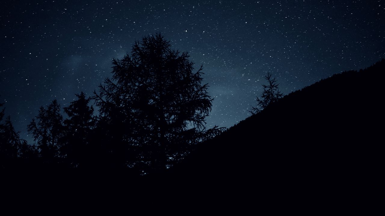 Wallpaper trees, night, stars, sky, dark