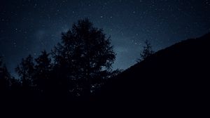 Preview wallpaper trees, night, stars, sky, dark