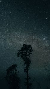 Preview wallpaper trees, night, stars, sky, dark, darkness