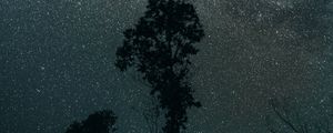 Preview wallpaper trees, night, stars, sky, dark, darkness