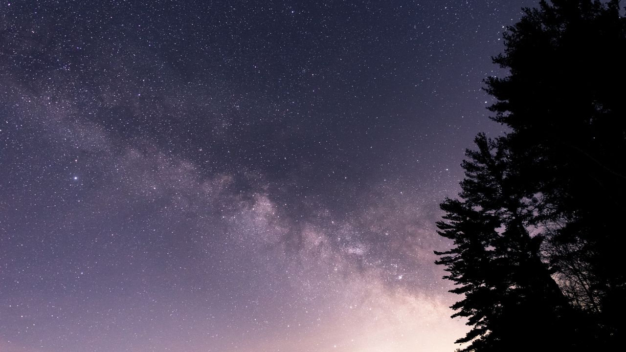 Wallpaper trees, night, stars, purple, dark