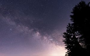 Preview wallpaper trees, night, stars, purple, dark