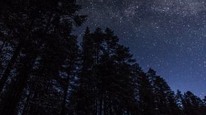 Preview wallpaper trees, night, stars, nature, dark