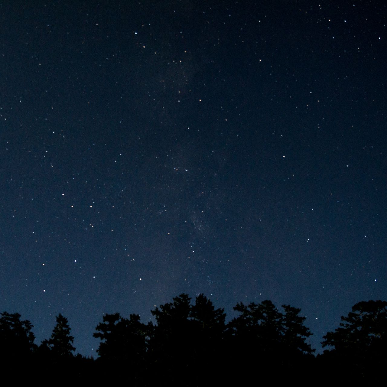 1280x1280 Wallpaper trees, night, stars, starry sky