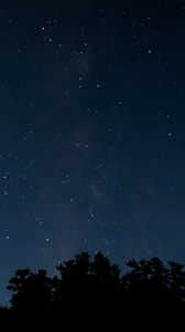 Preview wallpaper trees, night, stars, starry sky