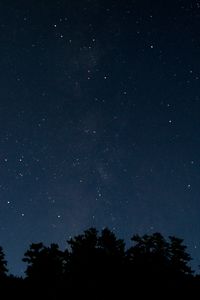 Preview wallpaper trees, night, stars, starry sky