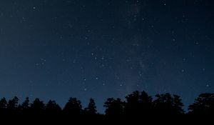 Preview wallpaper trees, night, stars, starry sky