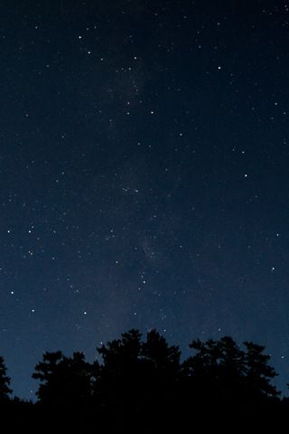 320x480 Wallpaper trees, night, stars, starry sky