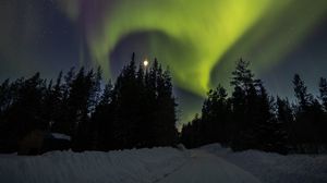 Preview wallpaper trees, northern lights, moon, night