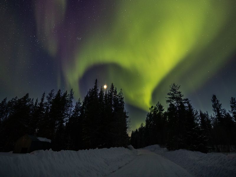 Download wallpaper 800x600 trees, northern lights, moon, night pocket ...