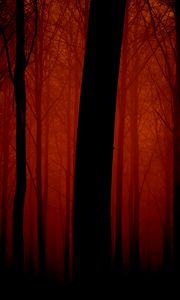 Preview wallpaper trees, outlines, evening, red, fog, light