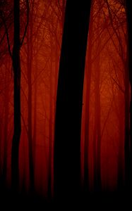 Preview wallpaper trees, outlines, evening, red, fog, light