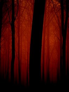 Preview wallpaper trees, outlines, evening, red, fog, light