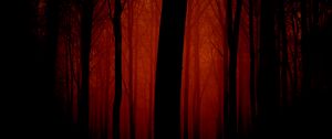 Preview wallpaper trees, outlines, evening, red, fog, light