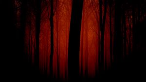 Preview wallpaper trees, outlines, evening, red, fog, light