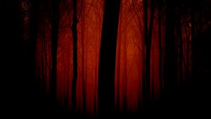 Preview wallpaper trees, outlines, evening, red, fog, light