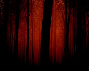 Preview wallpaper trees, outlines, evening, red, fog, light