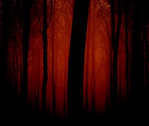 Preview wallpaper trees, outlines, evening, red, fog, light