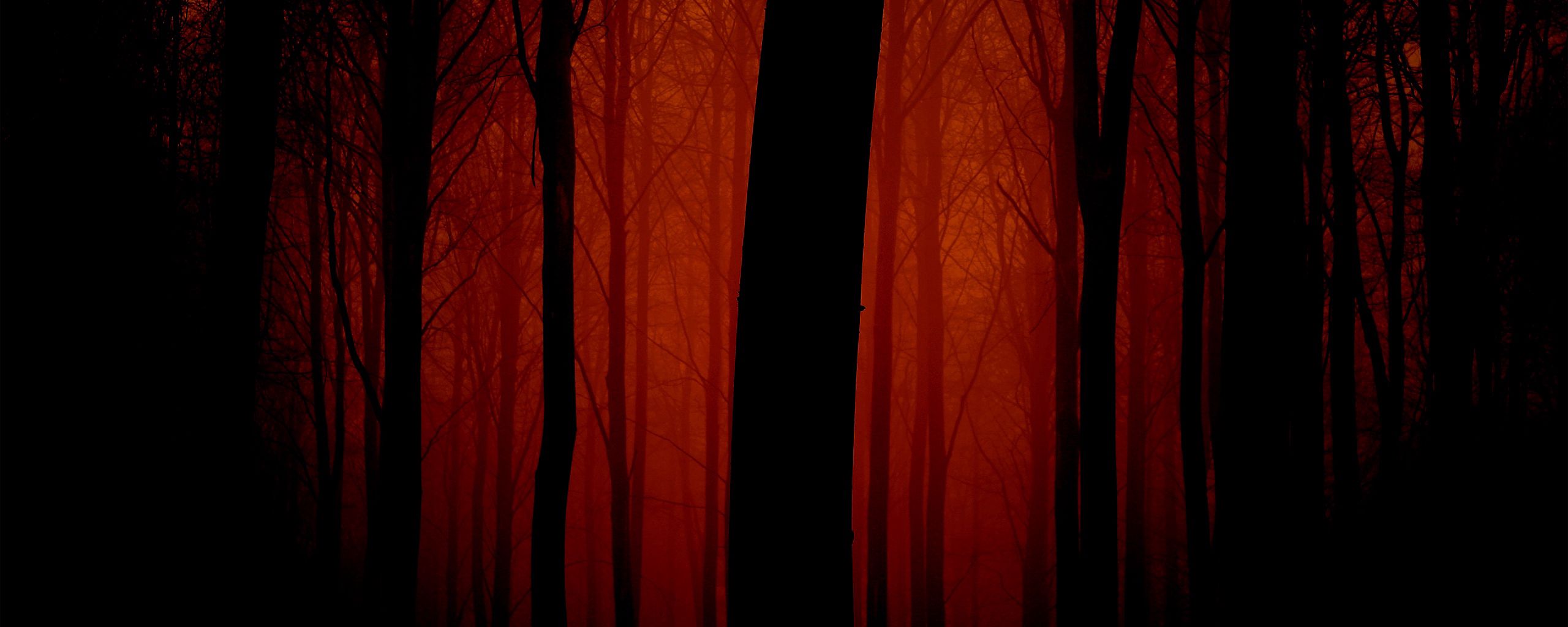 Download wallpaper 2560x1024 trees, outlines, evening, red, fog, light  ultrawide monitor hd background