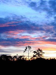 Preview wallpaper trees, outlines, horizon, sun, decline, sky, clouds, patterns