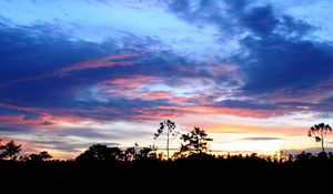 Preview wallpaper trees, outlines, horizon, sun, decline, sky, clouds, patterns