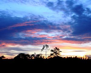 Preview wallpaper trees, outlines, horizon, sun, decline, sky, clouds, patterns