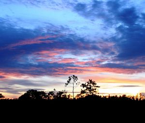 Preview wallpaper trees, outlines, horizon, sun, decline, sky, clouds, patterns