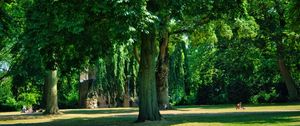 Preview wallpaper trees, park, lawn, grass, shadows