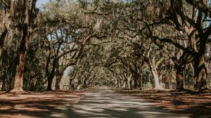 Preview wallpaper trees, park, shadow, road