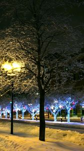 Preview wallpaper trees, park, winter, ornament, decor, street, night, city