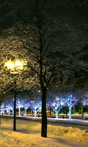 Preview wallpaper trees, park, winter, ornament, decor, street, night, city