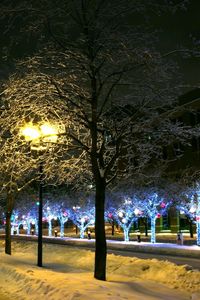 Preview wallpaper trees, park, winter, ornament, decor, street, night, city