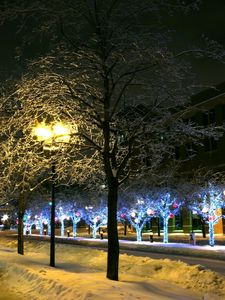 Preview wallpaper trees, park, winter, ornament, decor, street, night, city
