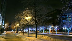 Preview wallpaper trees, park, winter, ornament, decor, street, night, city